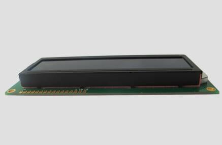 Display LCD de 2 caracteres LCX1602M Azul / STN / Negativo / Transparência